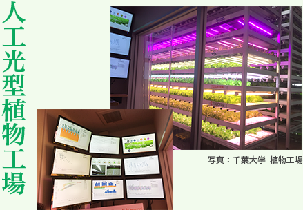 完全制御型植物工場