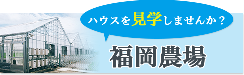 ハウスを見学しませんか？福岡農場