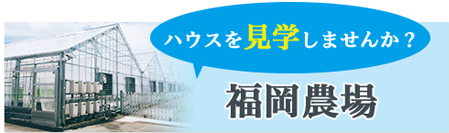 ハウスを見学しませんか？福岡工場ショールーム